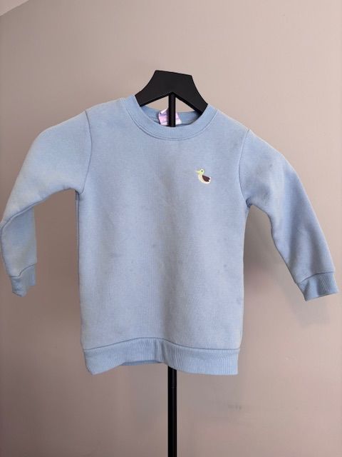 Light Blue Stitchy Fish Boys Sweatshirt, 4T