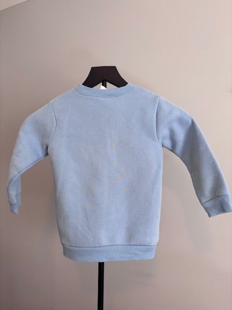 Stitchy Fish Boys Sweatshirt, 4T