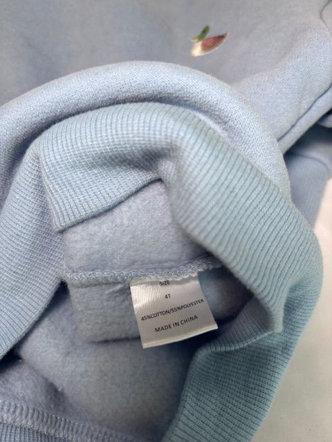 Light Blue Stitchy Fish Boys Sweatshirt, 4T