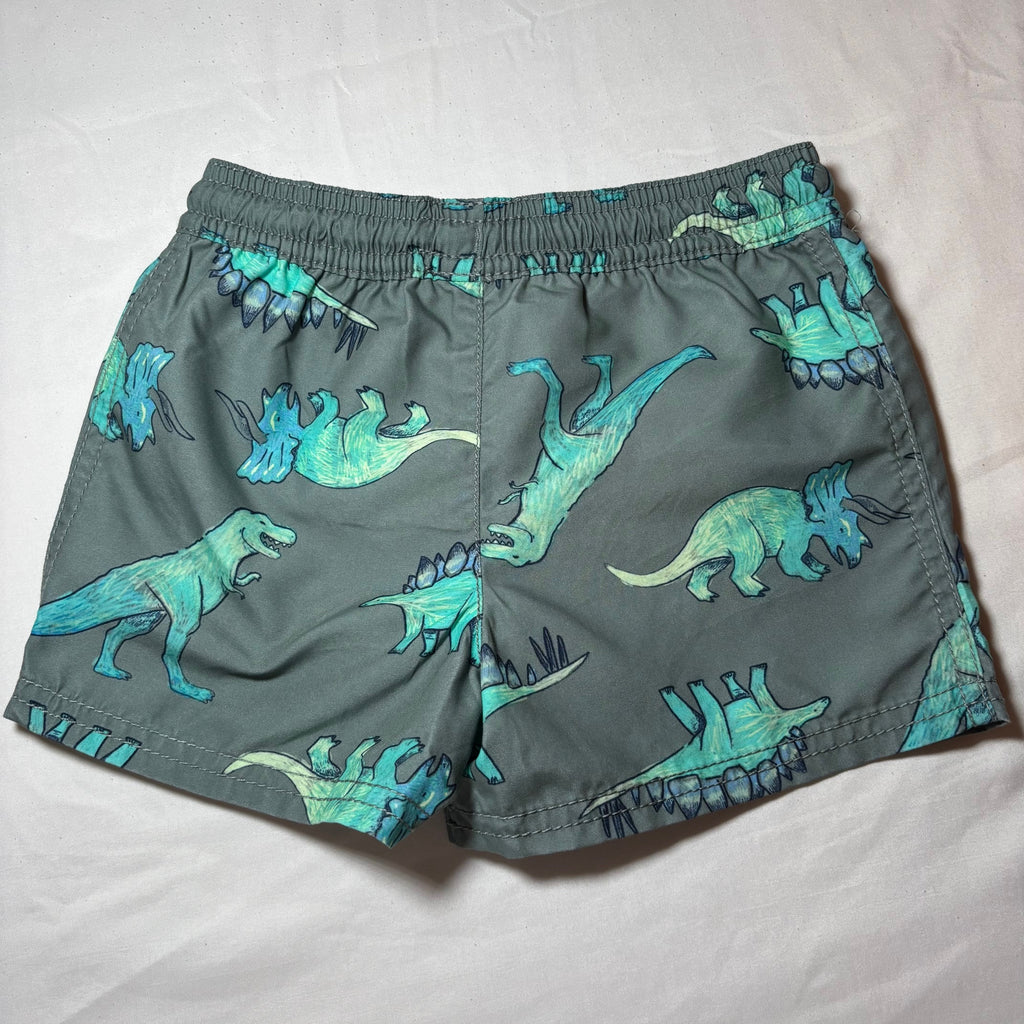 Carter's Toddler Boy Swim Trunks, 2T