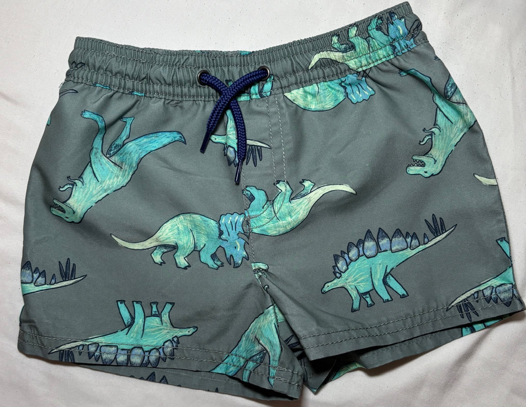 Carter's Toddler Boy Swim Trunks, 2T